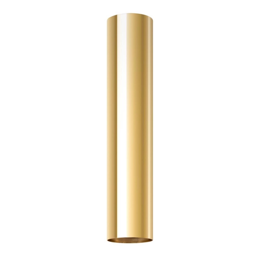 Spotlight LAGOS 1xGU10/10W/230V 30 cm gold