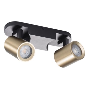 Spotlight LAURIN 2xGU10/10W/230V brass/black