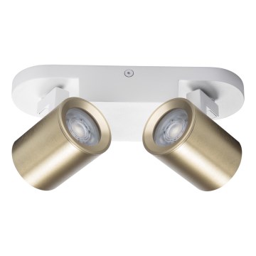 Spotlight LAURIN 2xGU10/10W/230V brass/white