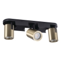 Spotlight LAURIN 3xGU10/10W/230V brass/black