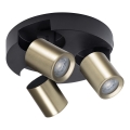 Spotlight LAURIN 3xGU10/10W/230V brass/black
