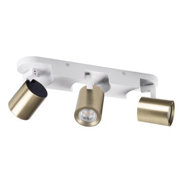 Spotlight LAURIN 3xGU10/10W/230V brass/white