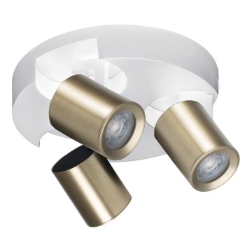 Spotlight LAURIN 3xGU10/10W/230V brass/white