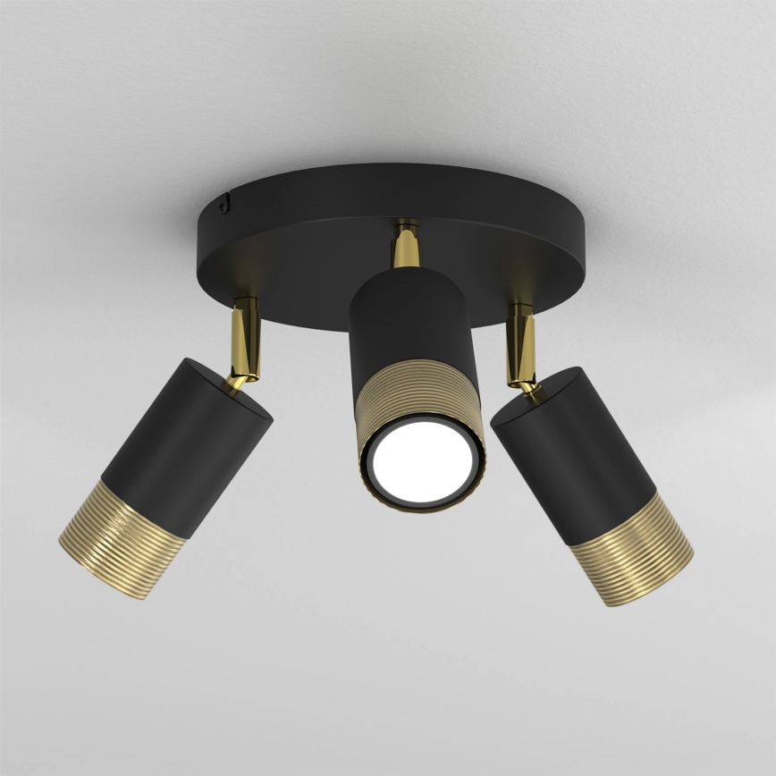 Spotlight LINK 3xGU10/8W/230V black/brass