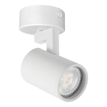 Spotlight LYNX 1xGU10/10W/230V white