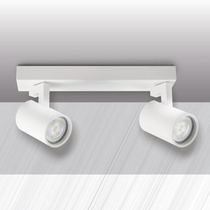 Spotlight LYNX 2xGU10/10W/230V white