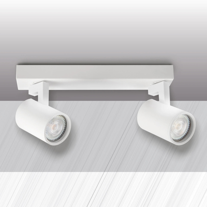 Spotlight LYNX 2xGU10/10W/230V white