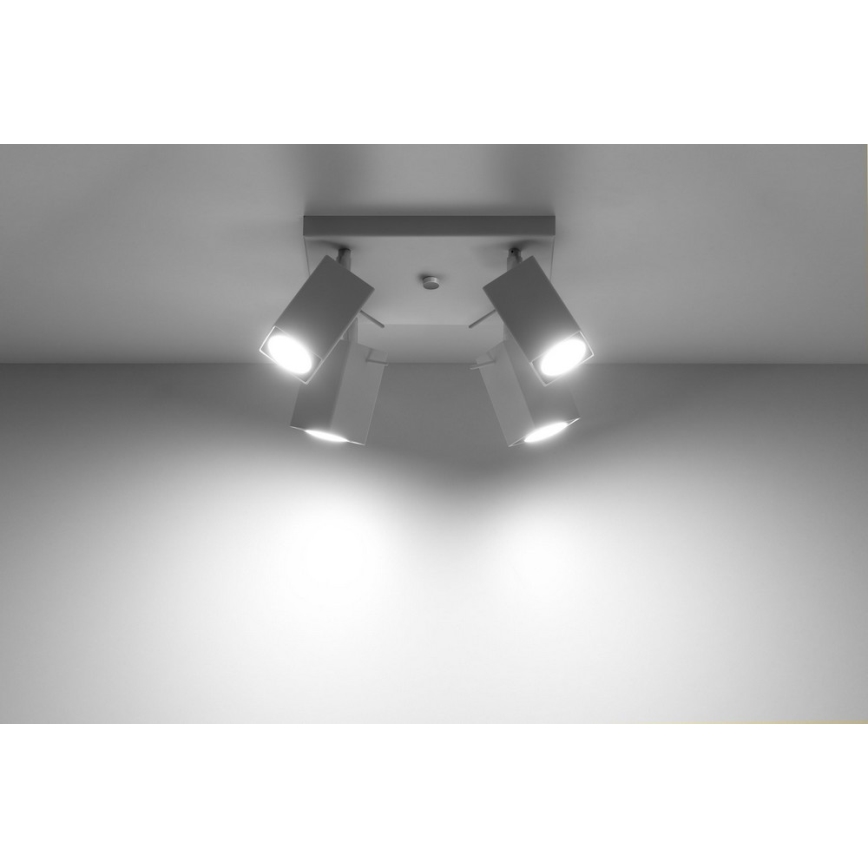 Spotlight MERIDA 4 4xGU10/40W/230V white