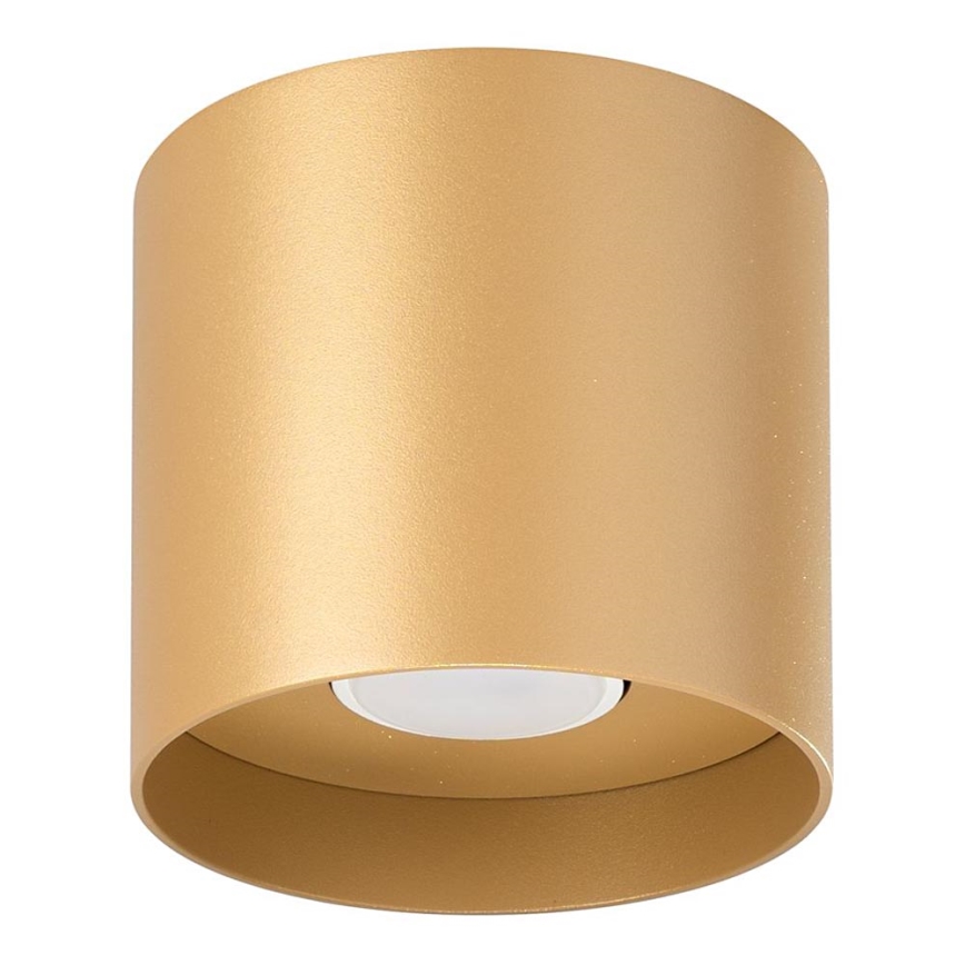 Spotlight MIKA 1xGU10/10W/230V gold