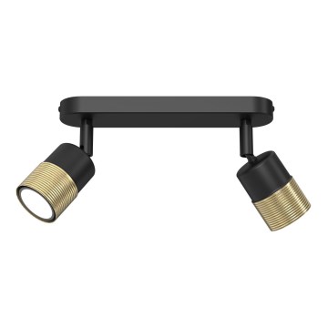 Spotlight MIZU 2xGU10/8W/230V black/brass