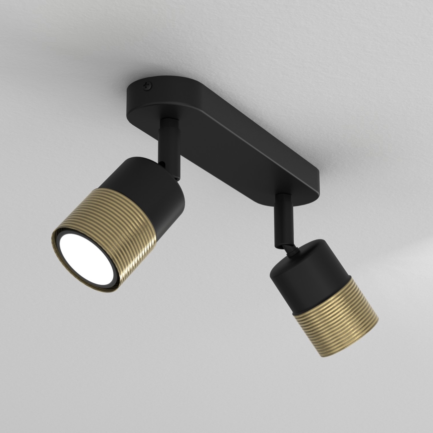 Spotlight MIZU 2xGU10/8W/230V black/brass