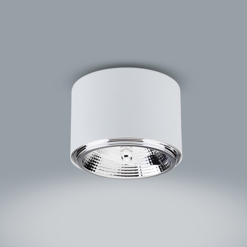 Spotlight MORIS 1xAR111 GU10/50W/230V white