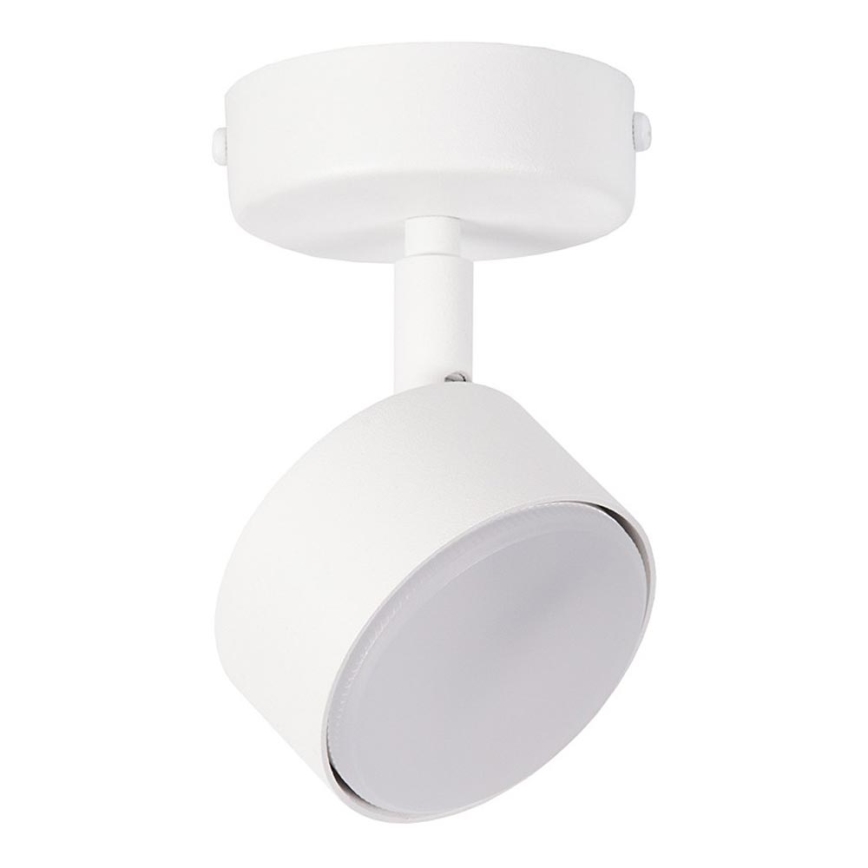 Spotlight NEMO 1xGX53/12W/230V white