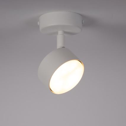 Spotlight NEMO 1xGX53/12W/230V white