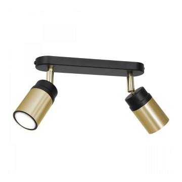 Spotlight NEST 2xGU10/8W/230V black/brass