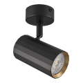 Spotlight NICEA 1xGU10/10W/230V black