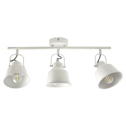 Spotlight NIKO 3xE14/8W/230V
