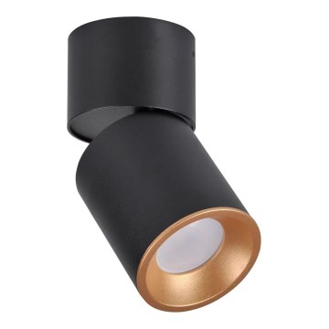 Spotlight NIXA 1xGU10/10W/230V black/gold