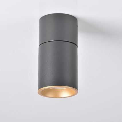 Spotlight NIXA 1xGU10/10W/230V black/gold
