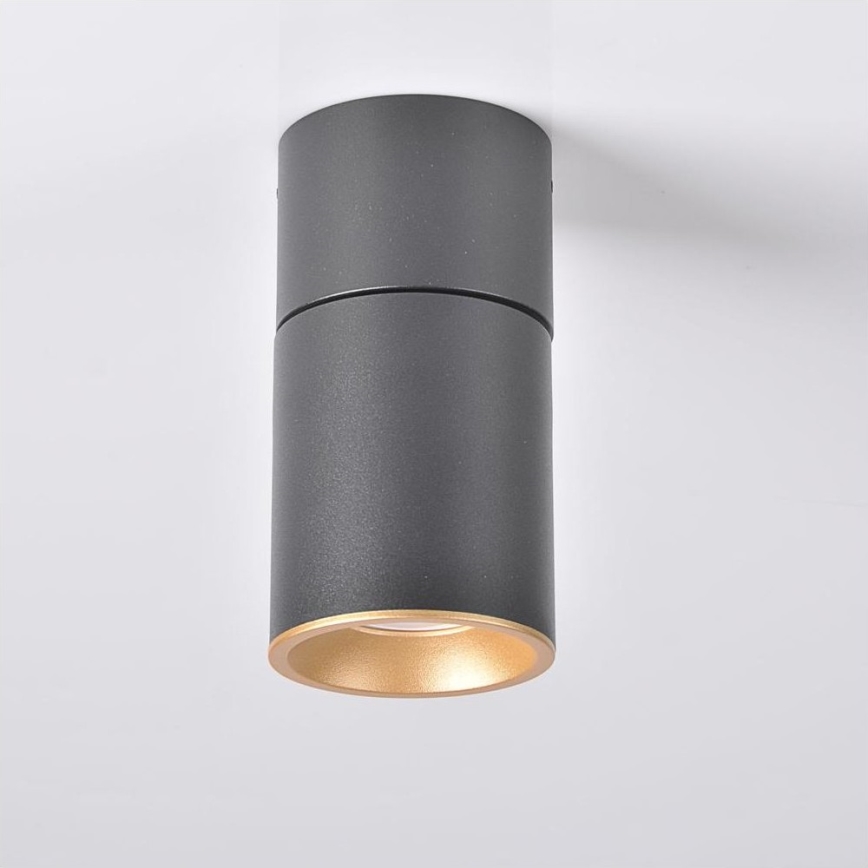 Spotlight NIXA 1xGU10/10W/230V black/gold