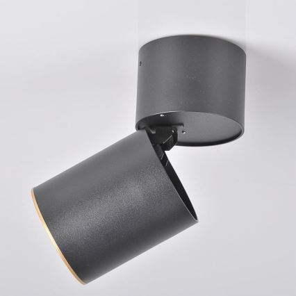 Spotlight NIXA 1xGU10/10W/230V black/gold