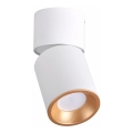 Spotlight NIXA 1xGU10/10W/230V white/golden