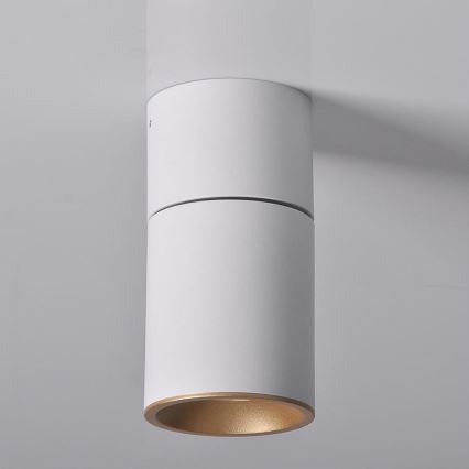 Spotlight NIXA 1xGU10/10W/230V white/golden
