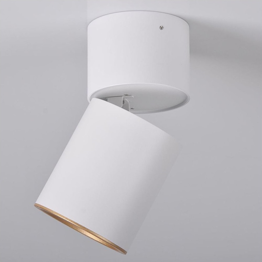Spotlight NIXA 1xGU10/10W/230V white/golden