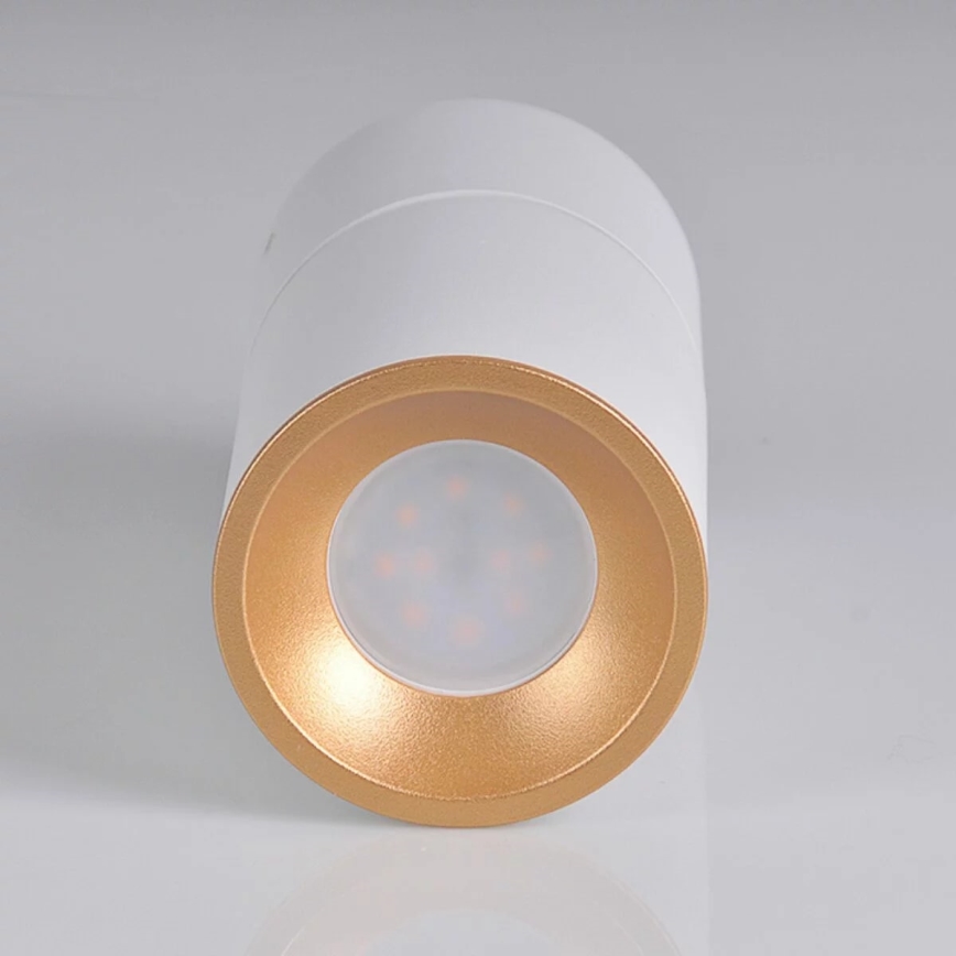 Spotlight NIXA 1xGU10/10W/230V white/golden