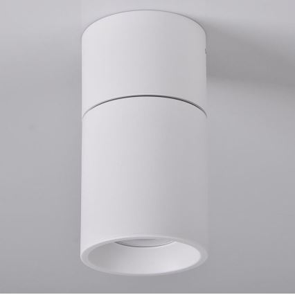 Spotlight NIXA 1xGU10/10W/230V white