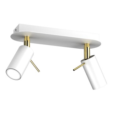 Spotlight PRESTON 2xGU10/MR11/40W/230V white/gold