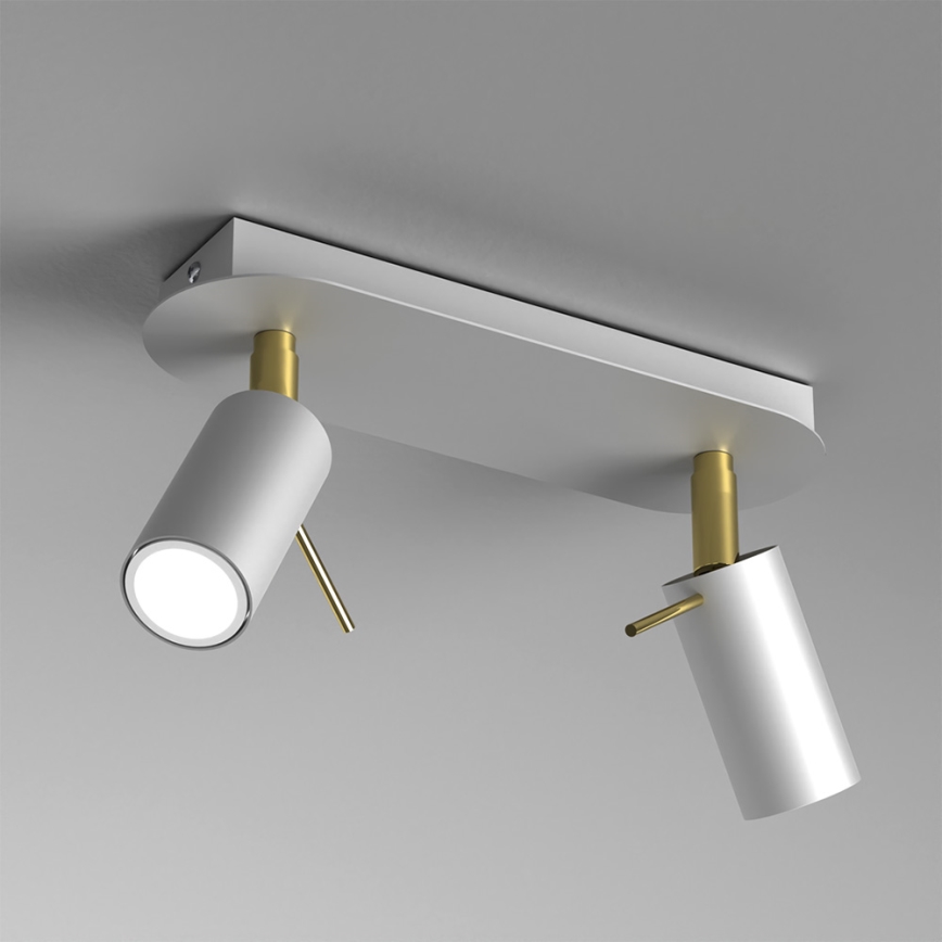 Spotlight PRESTON 2xGU10/MR11/40W/230V white/gold