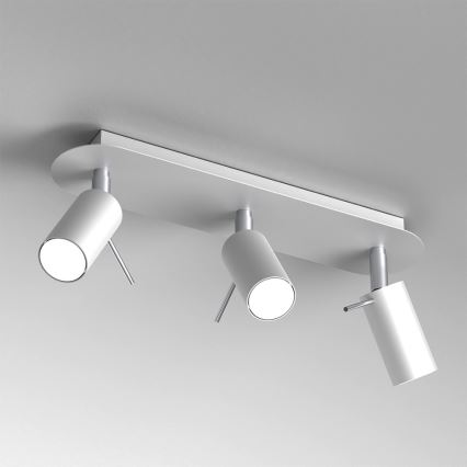 Spotlight PRESTON 3xGU10/MR11/40W/230V white