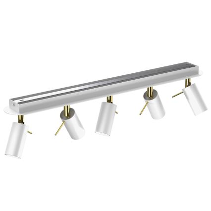 Spotlight PRESTON 5xGU10/MR11/40W/230V white/gold