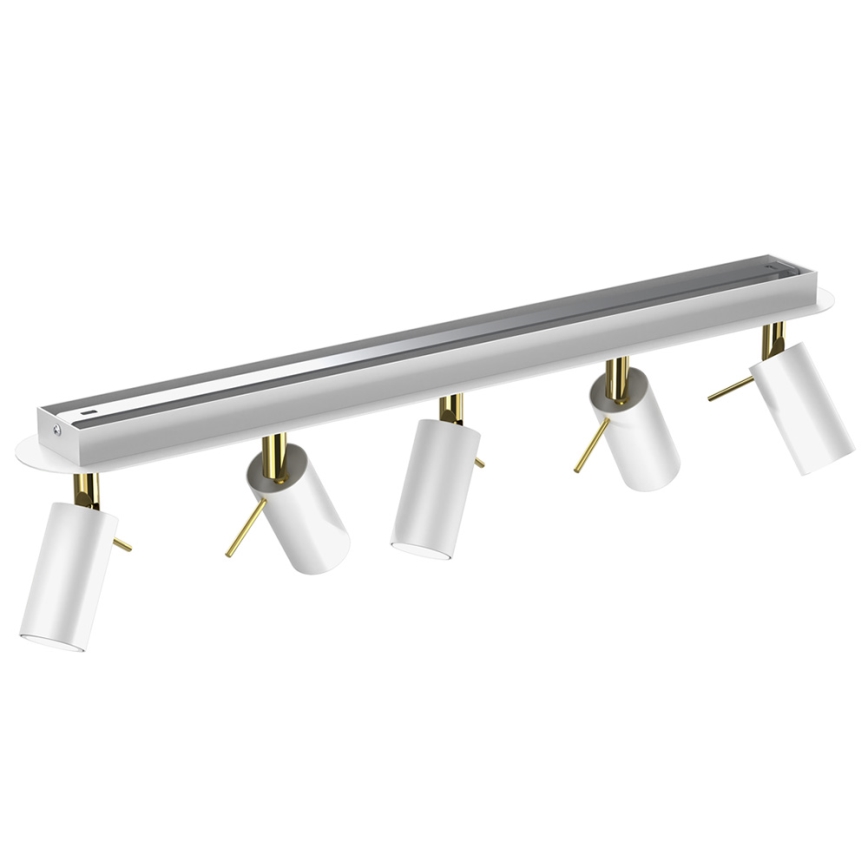 Spotlight PRESTON 5xGU10/MR11/40W/230V white/gold