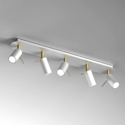 Spotlight PRESTON 5xGU10/MR11/40W/230V white/gold