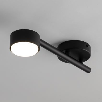 Spotlight PUNTO 1xGX53/12W/230V black