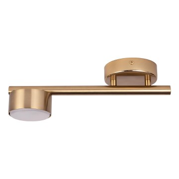 Spotlight PUNTO 1xGX53/12W/230V gold