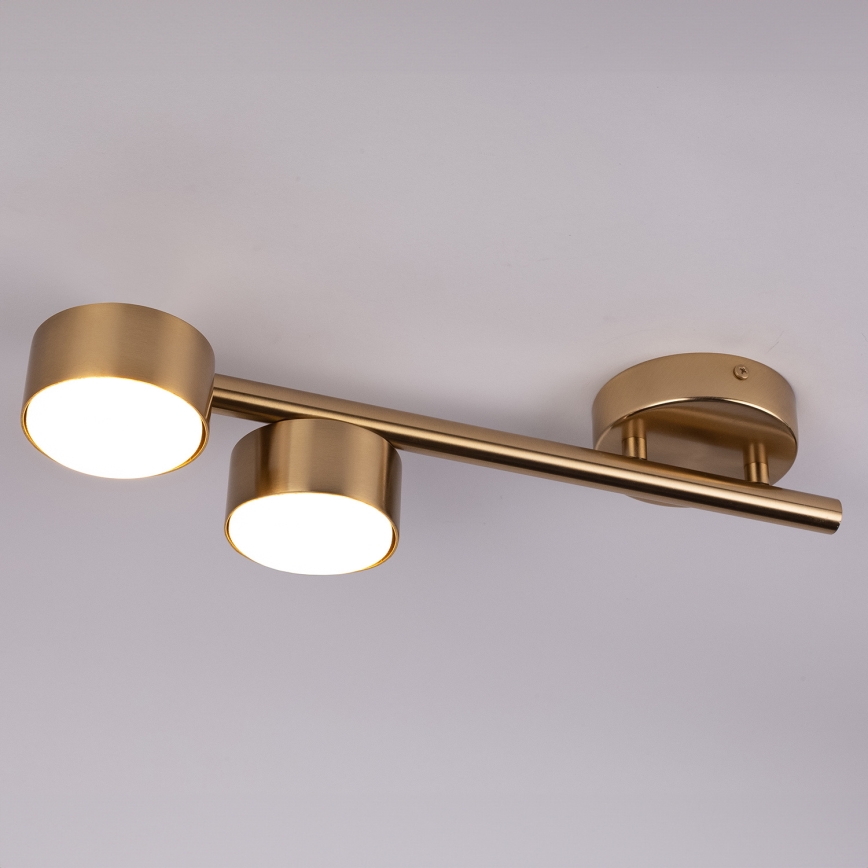 Spotlight PUNTO 2xGX53/12W/230V gold