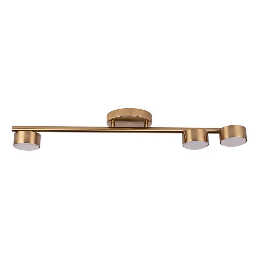 Spotlight PUNTO 3xGX53/12W/230V gold