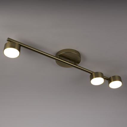 Spotlight PUNTO 3xGX53/12W/230V gold