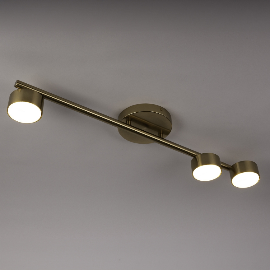 Spotlight PUNTO 3xGX53/12W/230V gold