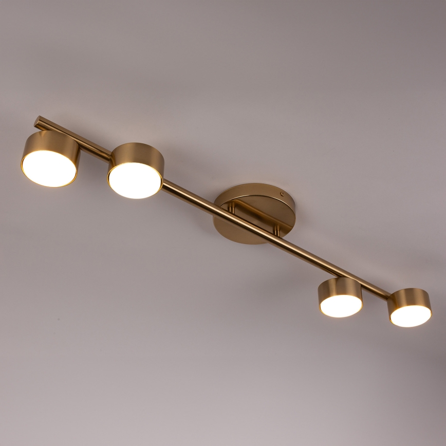 Spotlight PUNTO 4xGX53/12W/230V gold
