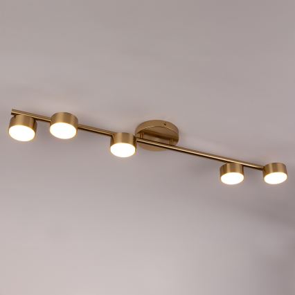 Spotlight PUNTO 5xGX53/12W/230V gold
