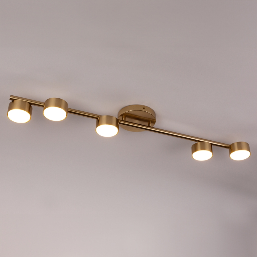 Spotlight PUNTO 5xGX53/12W/230V gold
