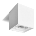 Spotlight QUANDO G53/50W/12V