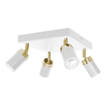 Spotlight RENO 4xGU10/8W/230V white/gold