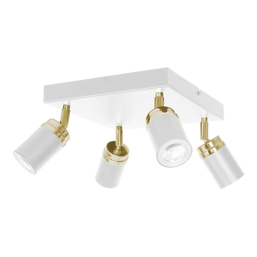 Spotlight RENO 4xGU10/8W/230V white/gold