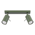 Spotlight RING 2xGU10/10W/230V green