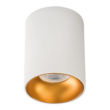 Spotlight RITI 1xGU10/10W/230V white/gold